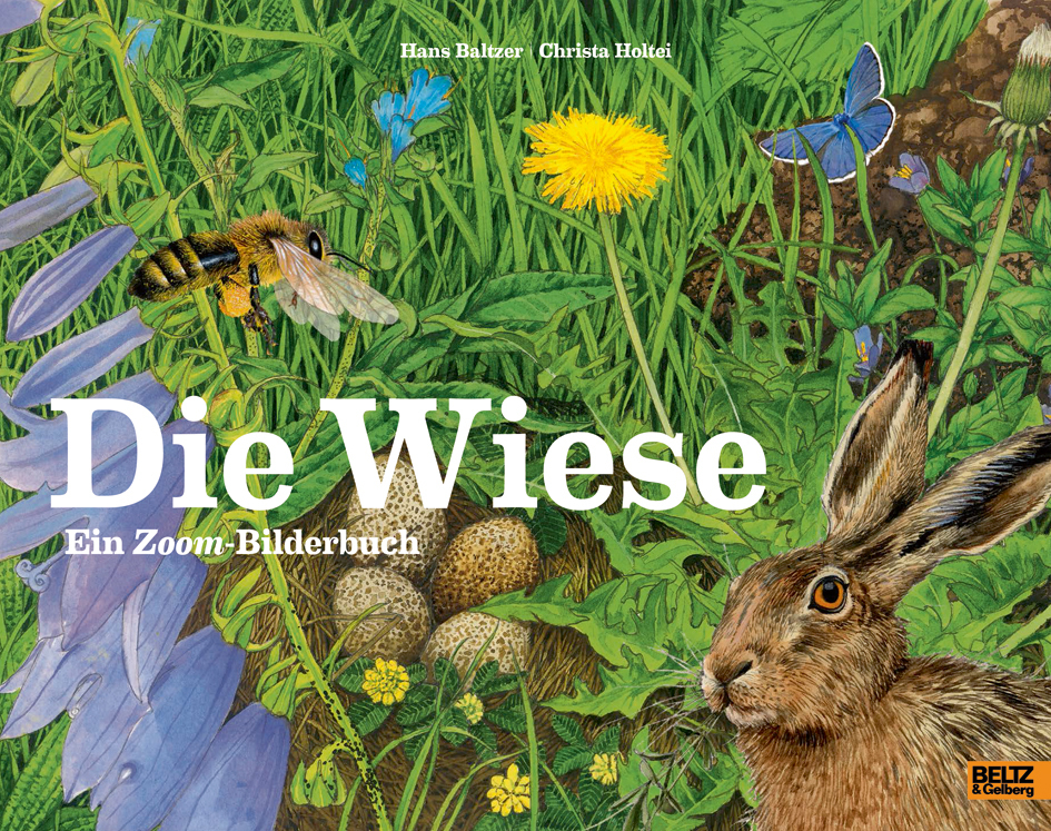 Die Wiese main product photo