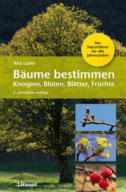 Bäume bestimmen - Knospen, Blüten, Blätter, Früchte main product photo