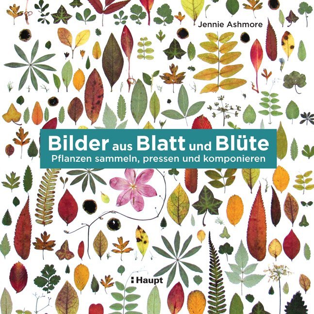 Bilder aus Blatt und Blüte main product photo