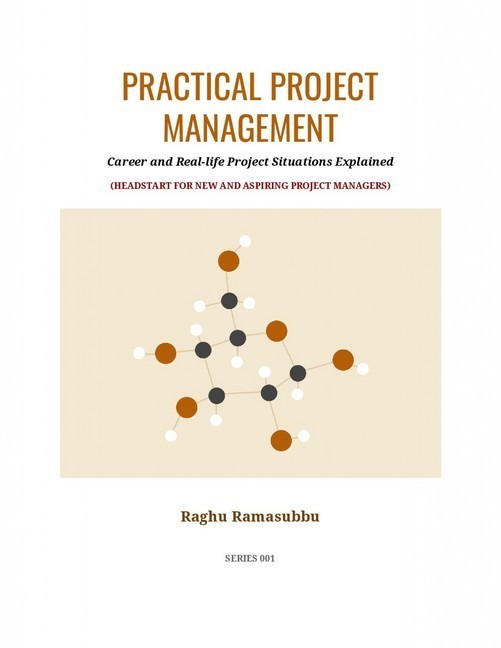 Practical Project Management main product photo