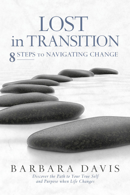 Lost in Transition main product photo