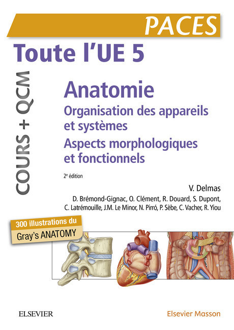 Toute l'UE 5 - Anatomie - Cours + QCM main product photo