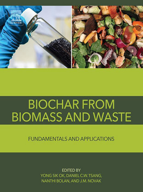 Biochar from Biomass and Waste main product photo