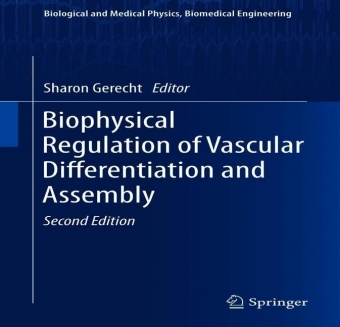 Biophysical Regulation of Vascular Differentiation and Assembly