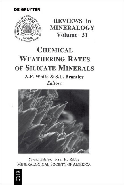 Chemical Weathering Rates of Silicate Minerals main product photo