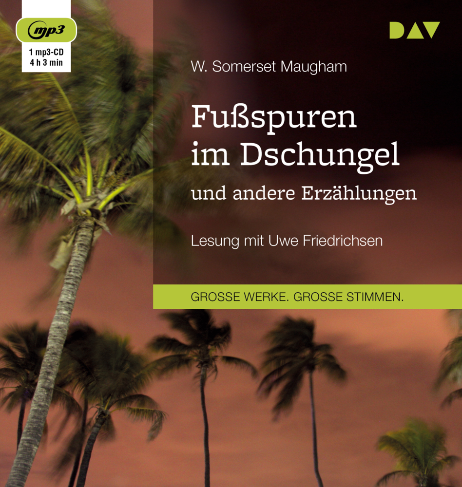 Fußspuren im Dschungel und andere Erzählungen, 1 Audio-CD, 1 MP3 main product photo