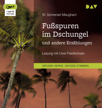 Fußspuren im Dschungel und andere Erzählungen, 1 Audio-CD, 1 MP3