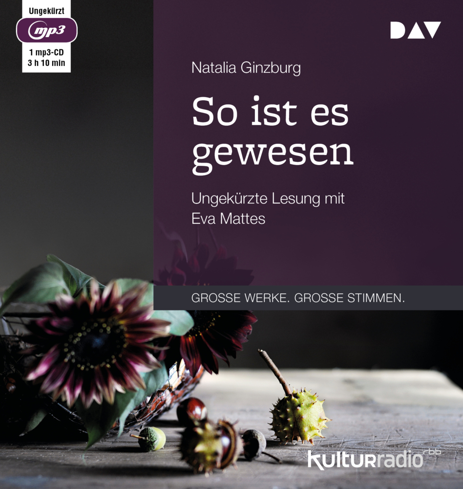 So ist es gewesen, 1 Audio-CD, 1 MP3 main product photo