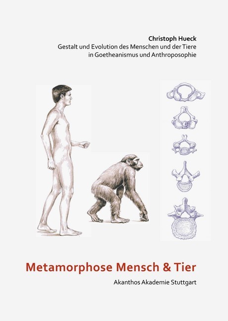 Metamorphose Mensch und Tier main product photo