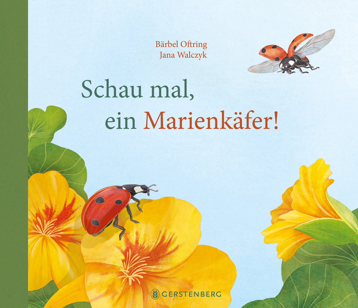 Schau mal, ein Marienkäfer! main product photo