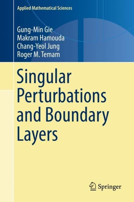 Singular Perturbations and Boundary Layers main product photo