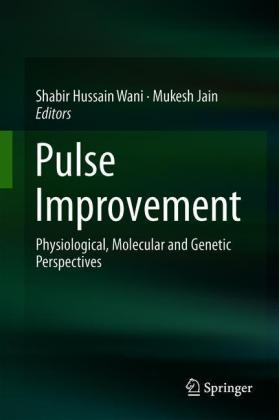 Pulse Improvement