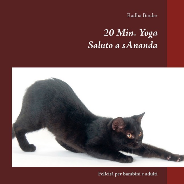 Saluto a sAnanda main product photo