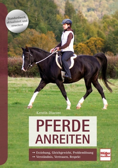 Pferde anreiten main product photo