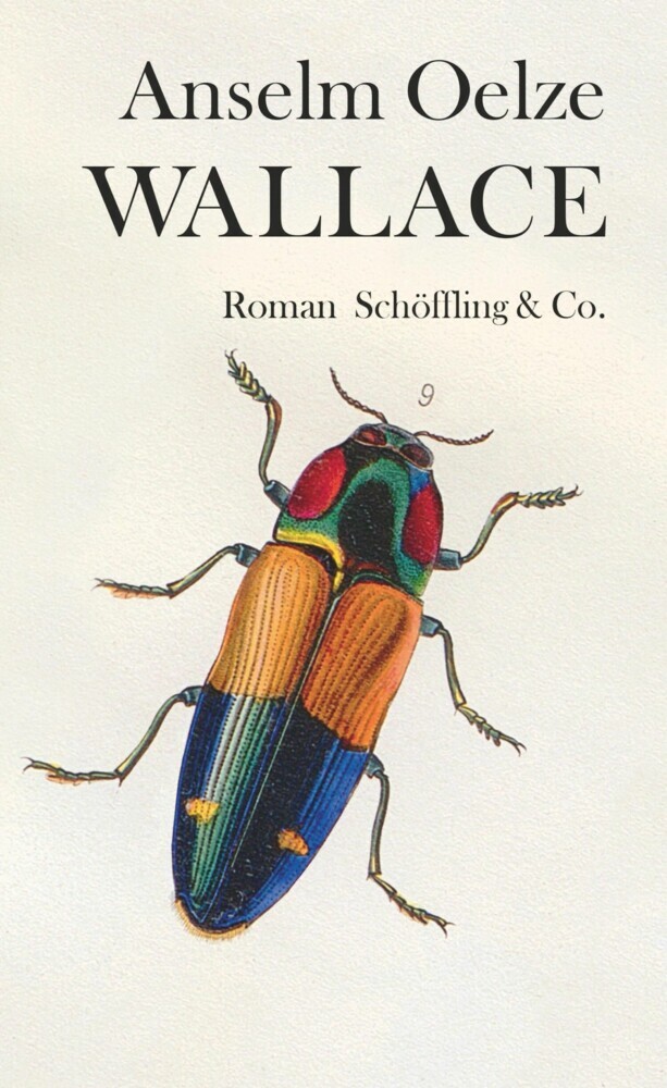Wallace main product photo