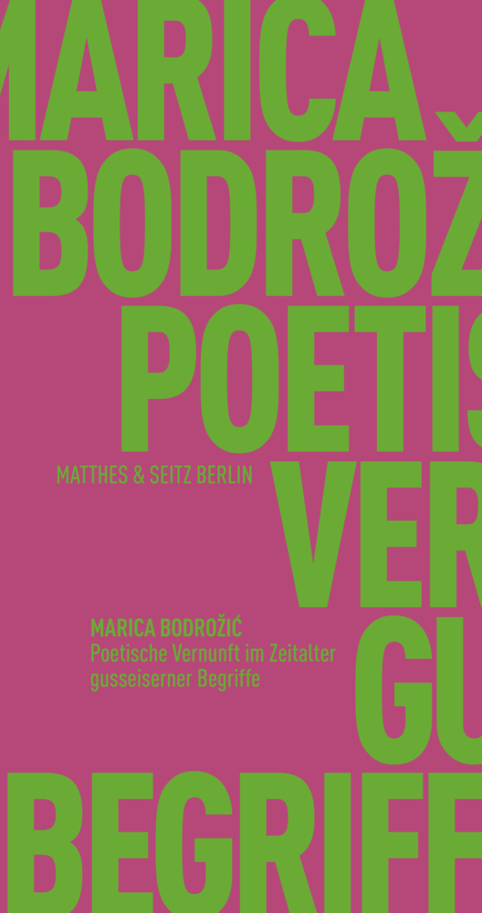 Poetische Vernunft im Zeitalter gusseiserner Begriffe main product photo