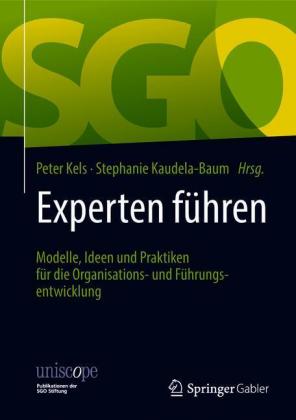 Experten führen