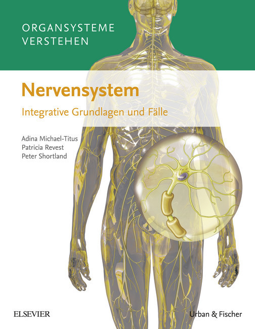 Organsysteme verstehen: Nervensystem main product photo