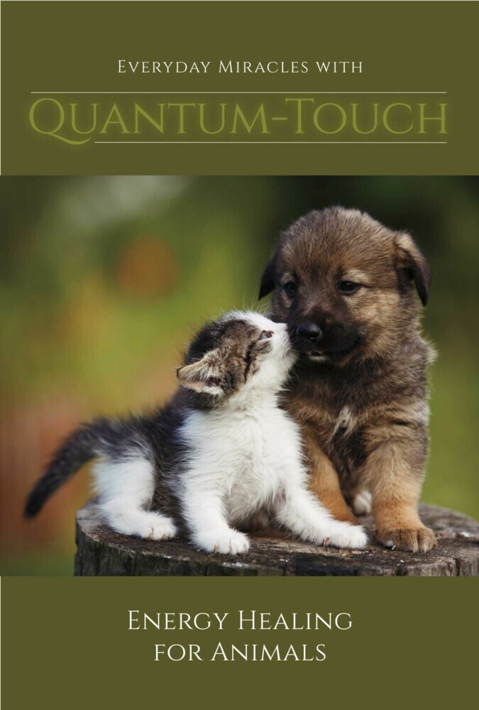 Everyday Miracles With Quantum-Touch main product photo