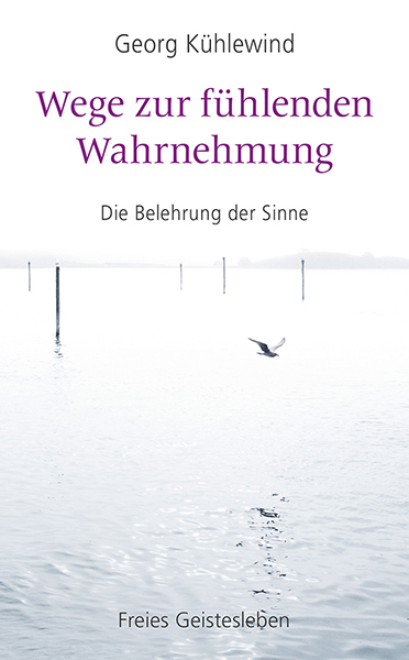 Wege zur fühlenden Wahrnehmung main product photo