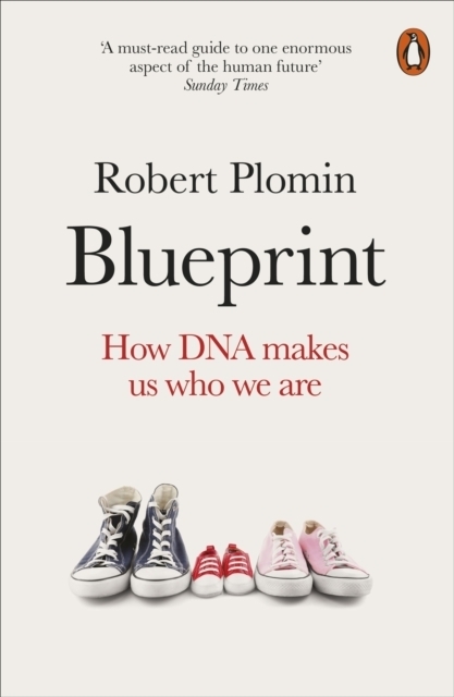 Blueprint main product photo
