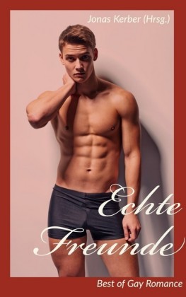 Echte Freunde - Best of Gay Romance