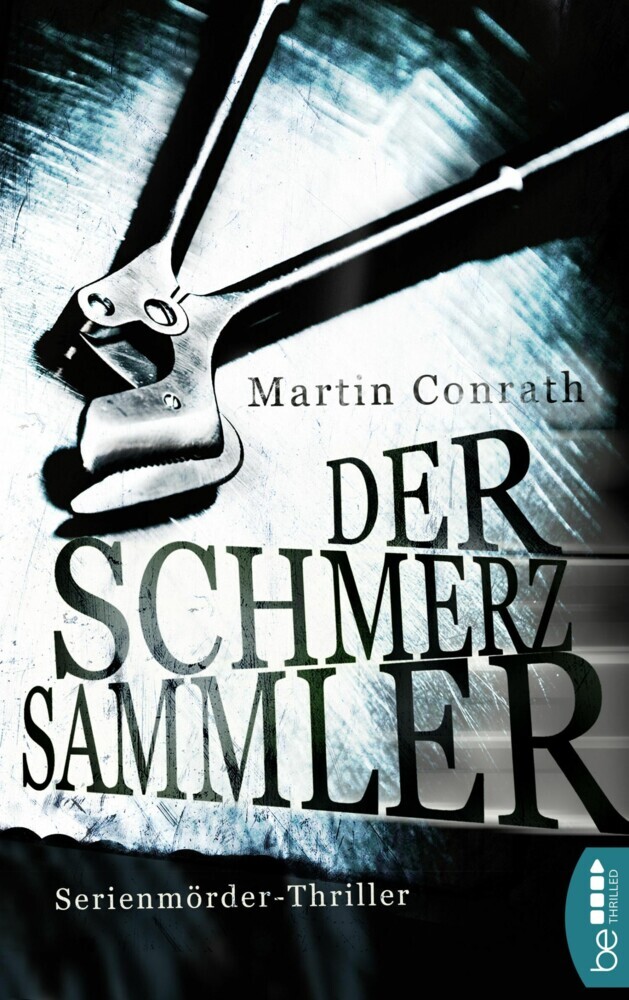 Der Schmerzsammler main product photo