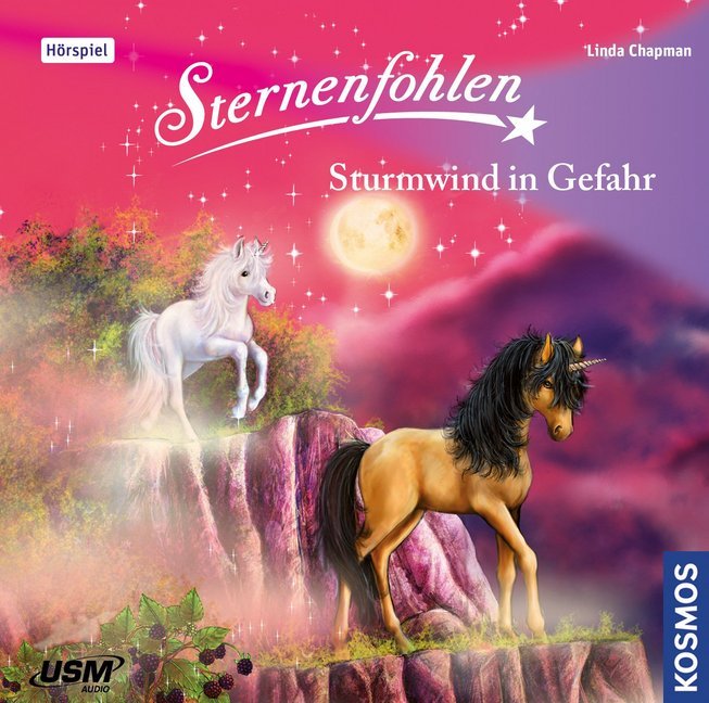 Sternenfohlen - Sturmwind in Gefahr, 1 Audio-CD main product photo