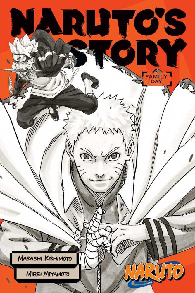 Naruto: Naruto's Story--Family Day main product photo