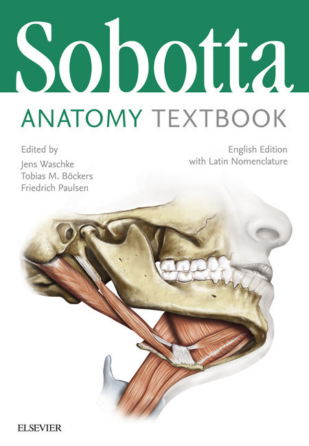 Sobotta Anatomy Textbook main product photo