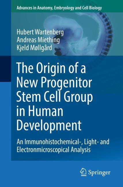 The Origin of a New Progenitor Stem Cell Group in Human Development main product photo