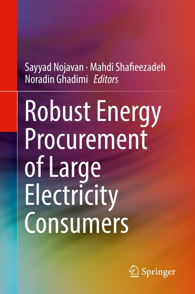 Robust Energy Procurement of Large Electricity Consumers main product photo