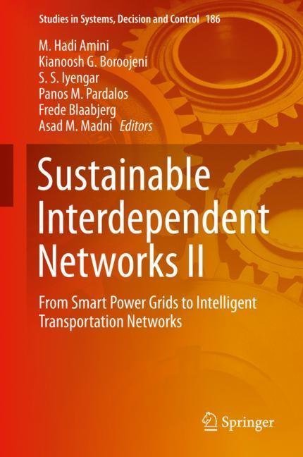 Sustainable Interdependent Networks II main product photo