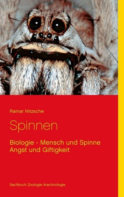 Spinnen main product photo