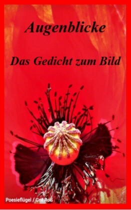 Augenblicke - Das Gedicht zum Bild