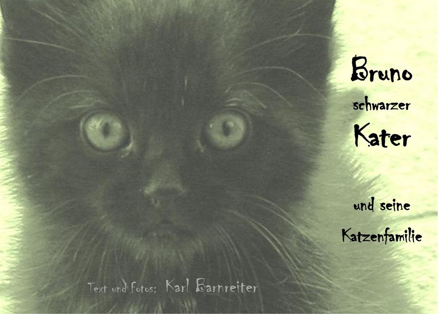 Bruno schwarzer Kater main product photo