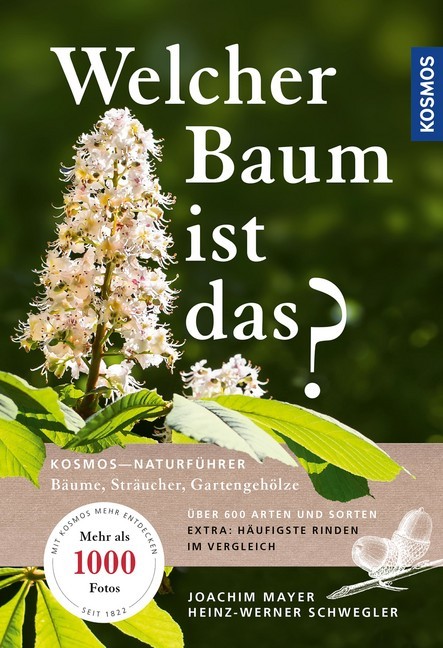 Welcher Baum ist das? main product photo