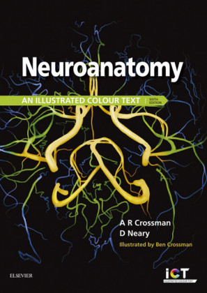 Neuroanatomy: an Illustrated Colour Text