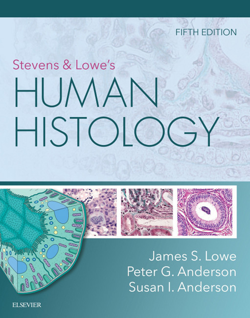 Stevens & Lowe's Human Histology main product photo