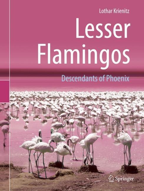 Lesser Flamingos main product photo