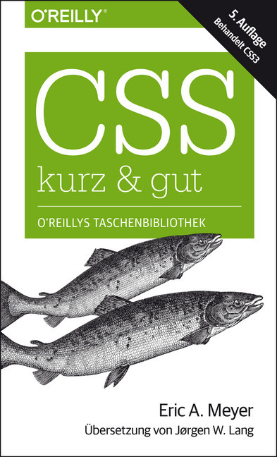 CSS - kurz & gut main product photo