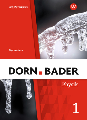 Dorn / Bader Physik SI - Allgemeine Ausgabe 2019