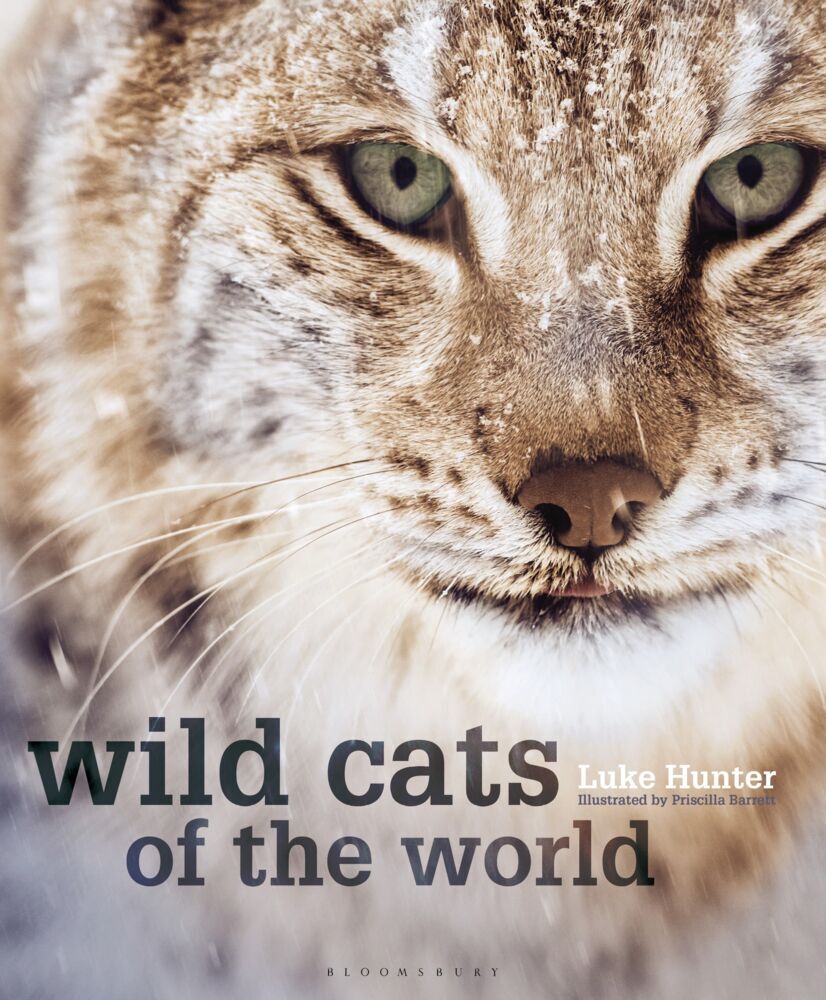 Wild Cats of the World main product photo