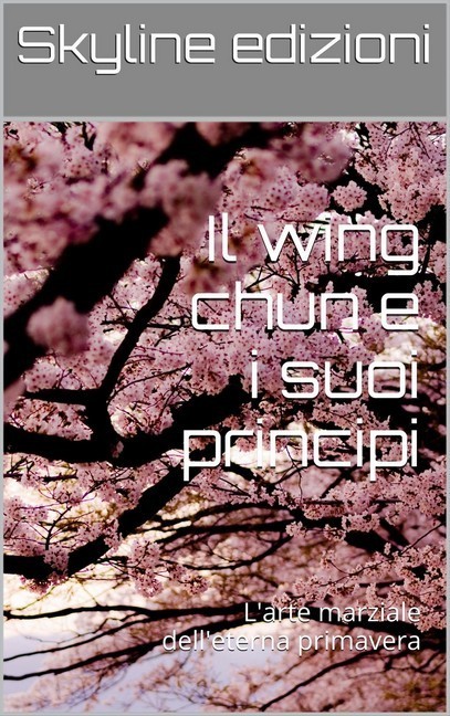 Il wing chun e i suoi principi main product photo