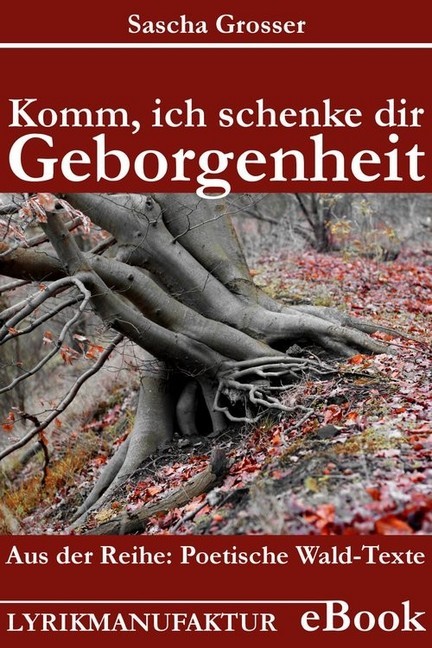Komm, ich schenke dir Geborgenheit main product photo