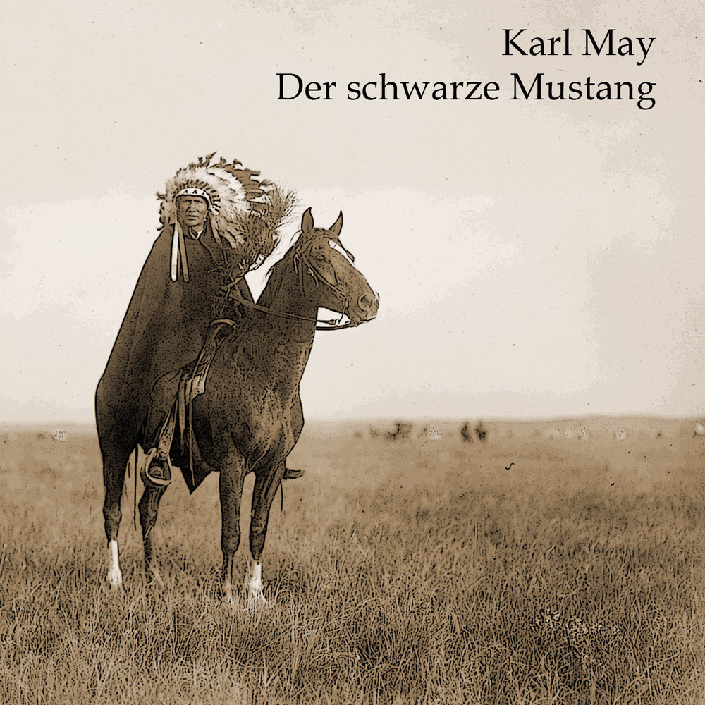 Der schwarze Mustang, Audio-CD, MP3 main product photo