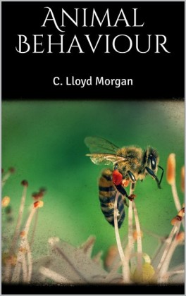 Animal Behaviour