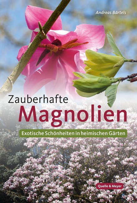Zauberhafte Magnolien main product photo