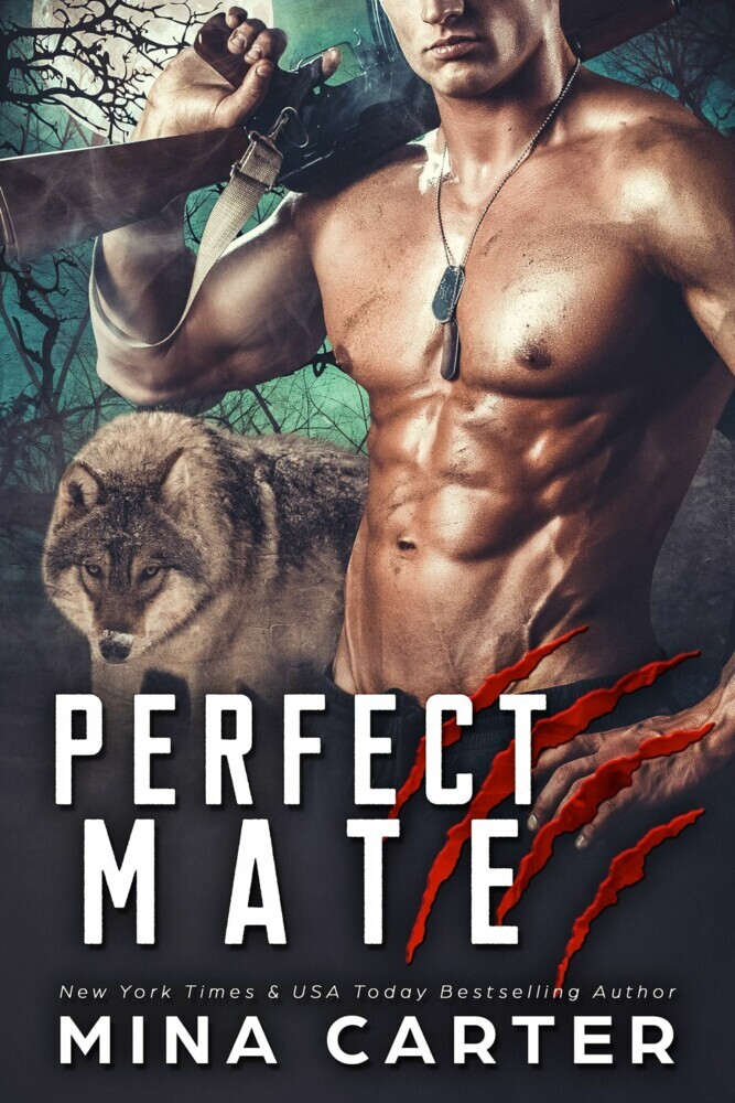 Perfect Mate main product photo