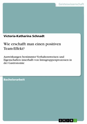 Wie erschafft man einen positiven Team-Effekt?